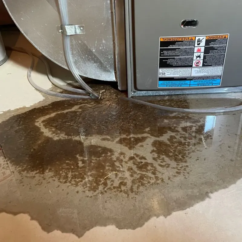 Pipe Burst and Leak Restoration in Bar Nunn, WY