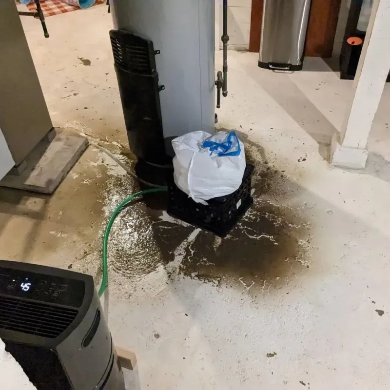 Sewage Backup Cleanup Service in Bar Nunn, WY